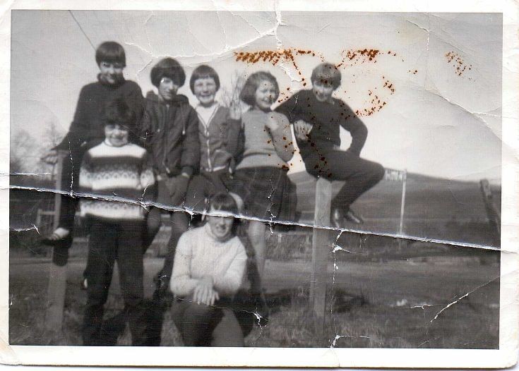 Girls on the Fence 1967 ?