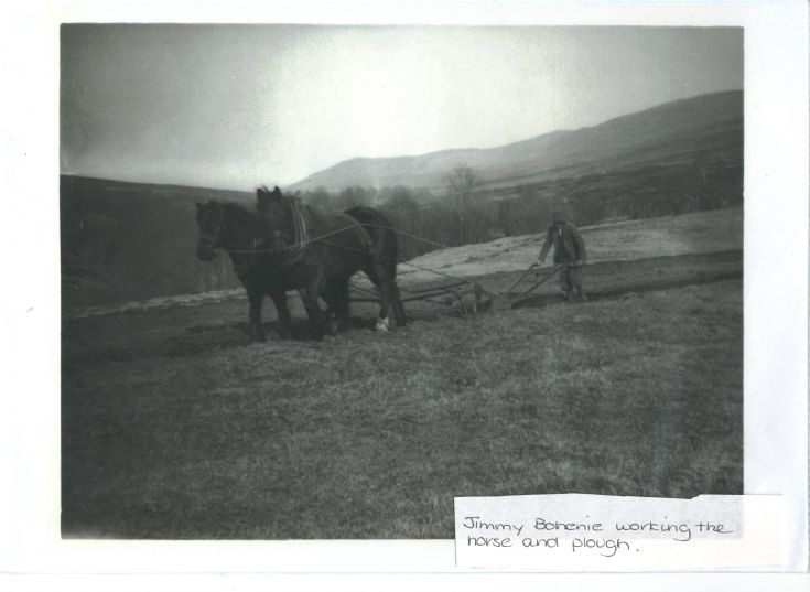 Jimmy ( Bohenie ) with Horse & plough