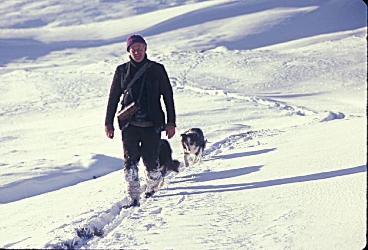 Ronnie Campbell in the Snow - 2015 ?