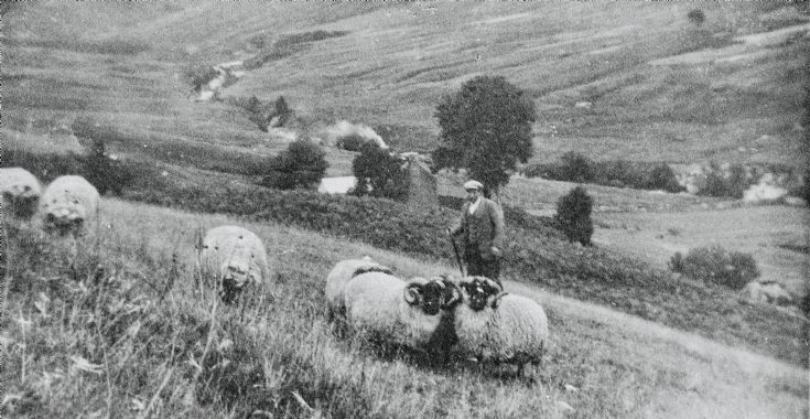 Achavaddy - 1950 ?