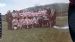 Lochaber Camanachd Reserves - Winners Div 4 1983
